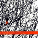 【輸入盤】 Death Cab For Cutie デスキャブフォーキューティー / Forbidden Love 【CD】