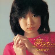 川上麻衣子 / 夢みて... +4 Complete Radio City years 【CD】