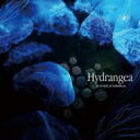 a crowd of rebellion / Hydrangea 【CD】
