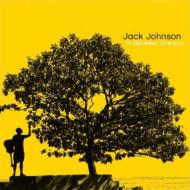Jack Johnson ジャックジョンソン / In Between Dreams 【SHM-CD】