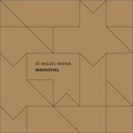 yAՁz Ze Miguel Wisnik / Indivisivel yCDz