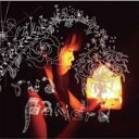 RUA / PANDORA 【CD】