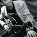 【輸入盤】 Adam Tvrdy / Doublewell 【CD】