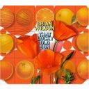 Brian Wilson ブライアンウィルソン (ビーチボーイズ) / That Lucky Old Sun 【CD】