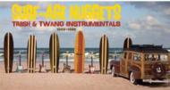 【輸入盤】 Surf Age Nuggets 【CD】