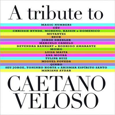 【輸入盤】 Tribute To Caetano Veloso 【CD】