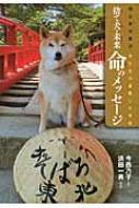 捨て犬・未来命のメッセージ 東日本大震災・犬たちが避難した学校 ノンフィクション・生きるチカラ / 今西乃子 【全集・双書】