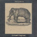 【輸入盤】 Michael Chapman マイケルチャップマン / Pachyderm 【CD】