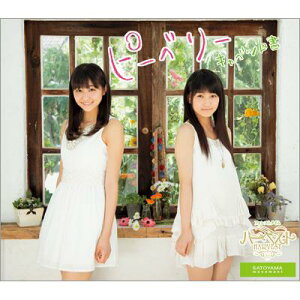 ピーベリー / ハーベスト / キャベツ白書 / フォレストタイム 【CD Maxi】