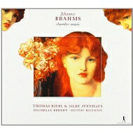 【輸入盤】 Brahms ブラームス / (Viola)clarinet Trio, Viola Sonata.1, 2, Lieder: Riebl(Va) Avenhaus(P) Breedt(Vc) Rivinius(Ms) 【CD】