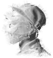 【輸入盤】 Woodkid / Golden Age 【CD】