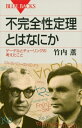 不完全性定理とはなにか ゲーデルとチューリングの考えたこと ブルーバックス / 竹内薫 【新書】