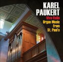 【輸入盤】 Paukert: Organ Music From St Pauls 【CD】