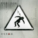 David Lynch デビッドリンチ / Big Dream 【CD】
