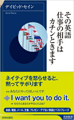 その英語、仕事の相手はカチンときます 青春新書INTELLIGENCE / デイビッド・セイン 【新書】