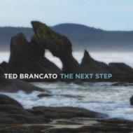 【輸入盤】 Ted Brancato / Next Step 【CD】