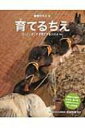 育てるちえ 引っこしをして子育てするツバメほか 動物のちえ / 成島悦雄 【全集・双書】