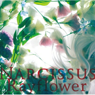 Rayflower / NARCISSUS 【CD】