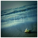 ENTH / Never Let Go 【CD】