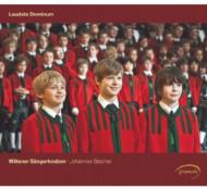 【輸入盤】 Laudate Dominum: Stecher / Wiltener Sangerknaben 【CD】