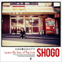 SHOGO (175R) / 大きな愛の木の下で 【CD】