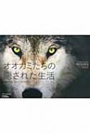 出荷目安の詳細はこちら内容詳細仲間の死を悼み、エネルギッシュに遊び、固い友情を結ぶオオカミたち。子どもの誕生には群れ全員が熱狂し、全員で役割分担して子育てをし、必要な技能の教育を施す。オオカミの群れの中で一緒に生活するという類まれな体験を通して得た、オオカミたちの知られざる社会生活や感情を余すところなく紹介。目次&nbsp;:&nbsp;第1章　ソートゥース群と共に暮らす/ 第2章　オオカミの世界/ 第3章　オオカミの来た道/ 第4章　オオカミと共存する