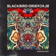 【輸入盤】 Blackbird Blackbird / Tangerine Sky 【CD】