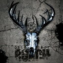 ROACH / CALL ME LAZY 【CD Maxi】