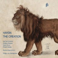 【輸入盤】 Haydn ハイドン / 『天地創造』英語版　シュタインエッカー＆ムジカ・セクロルム（2CD） 【CD】