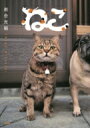 ねこ / 岩合光昭 【文庫】