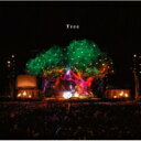 ＳＥＫＡＩ　ＮＯ　ＯＷＡＲＩ／Ｔｒｅｅ