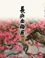 長浜盆梅展 / 長浜観光協会 【本】