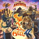 【送料無料】 THE ANSWE...