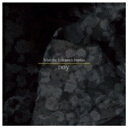 noy / What the Unknown Implies 【CD Maxi】
