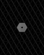 EXO / EXO FROM. EXOPLANET＃1 - THE LOST PLANET IN JAPAN 【初回限定盤】 (Blu-ray+フォトブック) 【BLU-RAY DISC】