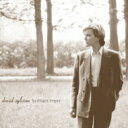 David Sylvian デビッドシルビアン / Brilliant Trees 【SHM-CD】