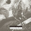 David Sylvian デビッドシルビアン / Secrets Of The Beehive 【SHM-CD】