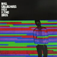 Noel Gallagher's High Flying Birds / In The Heat Of The Moment (12インチシングルレコード) 