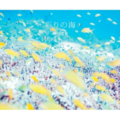 彩りの海 / 鍵井靖章 【本】