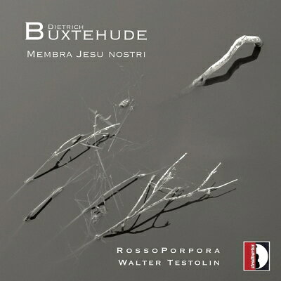 【輸入盤】 Buxtehude ブクステフーデ / カンタータ『われらがイエスの四肢』　テストリン＆ロッソ・ポルポラ 【CD】