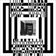 【輸入盤】 Luke Vibert ルークバイバート / Bizarster 【CD】