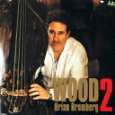 Brian Bromberg ブライアンブロンバーグ / Wood 2 【SHM-CD】