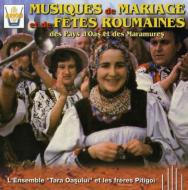 【輸入盤】 Tara Oasului Folk Ensemble / Pitigoi Brothers / Romanian Folk Music For Weddings And Other Festive Occasions 【CD】