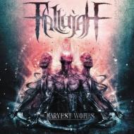Fallujah / Harvest Wombs 【LP】