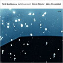 Tord Gustavsen トルドグスタフセン / What Was Said 【LP】