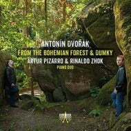 【輸入盤】 Dvorak ドボルザーク / ピアノ連弾による『ドゥムキー』、ボヘミアの森から　ピザーロ、ゾック 【CD】