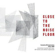 【輸入盤】 Close To The Noise Floor: Formative UK Electronica 1975-1984 (4CD) 【CD】