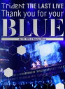 Trident (イオナ (Cv: 渕上舞 / タカオ (Cv: 沼倉愛美) / ハルナ (Cv: 山村響)) / Trident THE LAST LIVE「Thank you for your “BLUE"@幕張メッセ」 【BLU-RAY DISC】