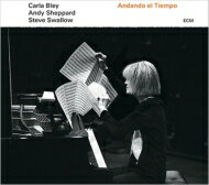Carla Bley / Andy Sheppard / Steve Swallow / Andando El Tiempo 【LP】
