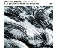 Jack Dejohnette / Ravi Coltrane / Matthew Garrison / In Movement 【LP】